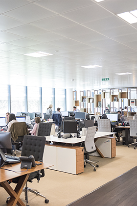 Diagnóstico organizacional